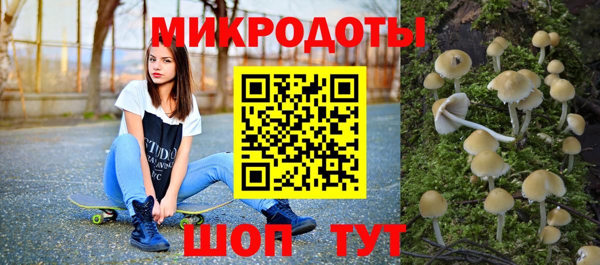 Котельники  Галлюциногенные грибы Psilocybe  Вход с VPN 