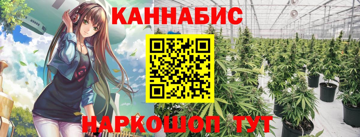 Бошки марихуана план Котельники